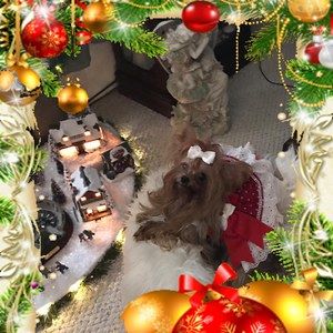 Meet your Posher, Annie